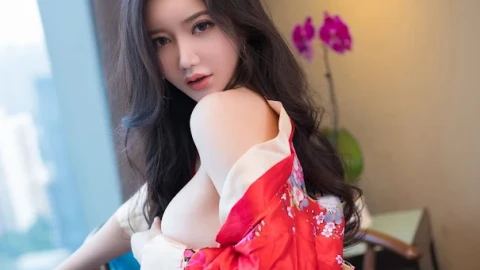 高清完整版动漫完整版观看网站